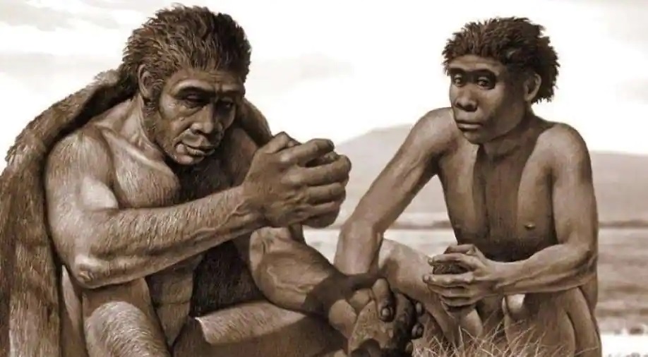 Loài mới "Homo bodoensis" đã từng sinh sống tại châu Phi