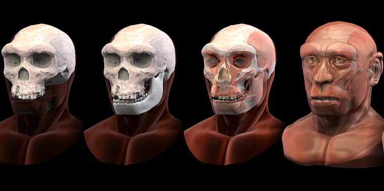 Homo bodoensis có nhiều điểm tương đồng với người Neanderthals