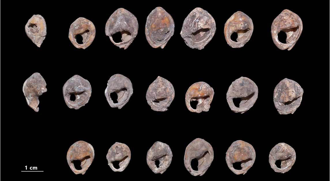 Chuỗi hạt trang sức 150.000 năm tuổi vừa được tìm thấy