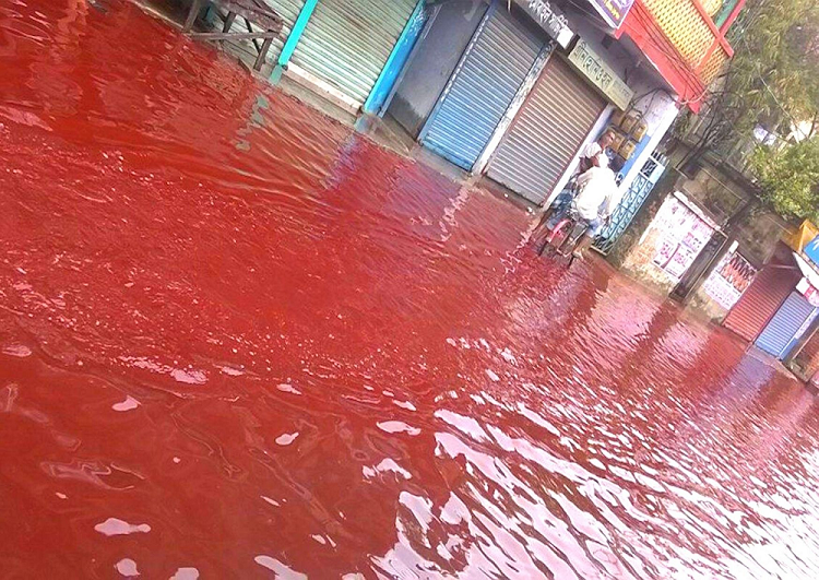 Cơn mưa máu khiến nhiều người kinh hãi
