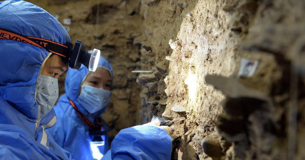 Cá thể "loài người ma” lại được tìm thấy tại Siberia