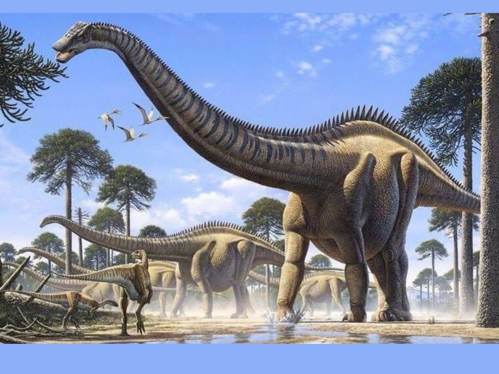 Điều thú vị là Supersaurus có thể được ghi nhận như loài khủng long dài nhất